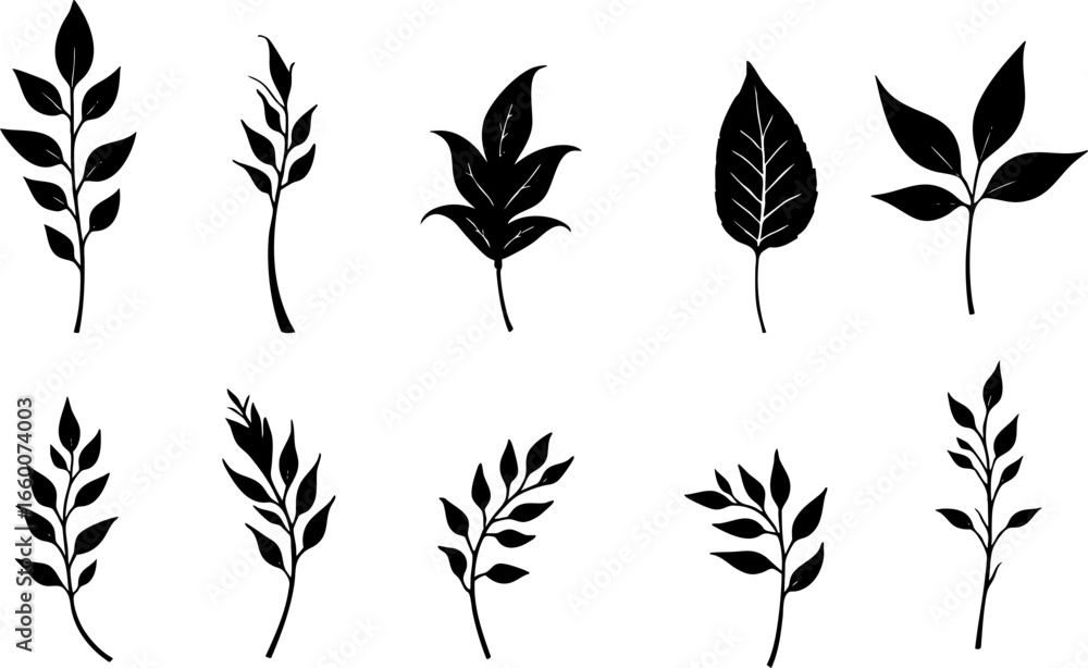 Naklejka premium Hand-Drawn Black Leaf Silhouettes