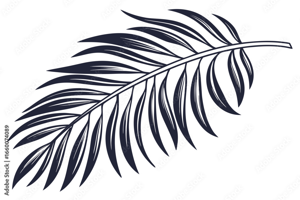 Obraz premium Palm Leaf Silhouette Isolated Transparent Tropical Foliage Vector Design