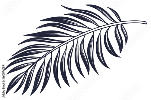 Palm Leaf Silhouette Isolated Transparent Tropical Foliage Vector Design