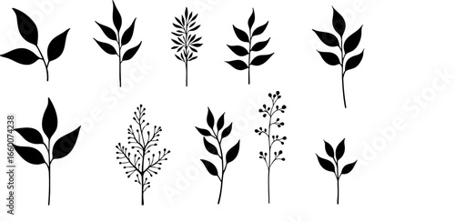 Minimalist Black Leaf Silhouettes Collection