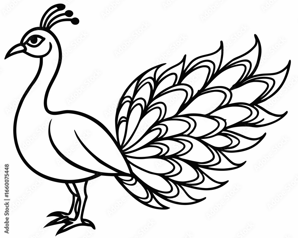 Naklejka premium Elegant line drawing of a peacock with fanned tail isolated on white background
