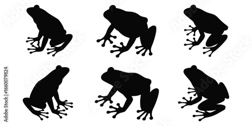 Silhouette illustration of six frogs in varied poses, symbolizing amphibian anatomy, posture comparison, and educational animal reference