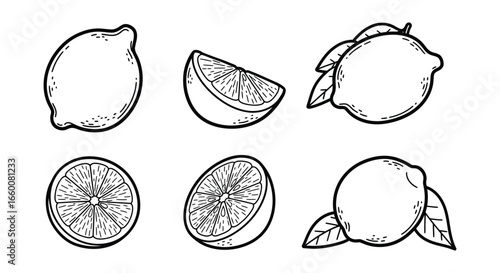 A set of six different lemon illustrations in various views and slices