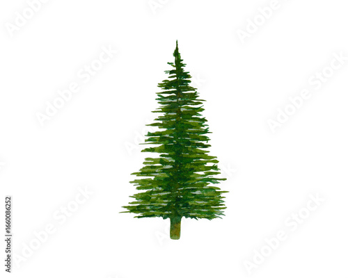 Isolated watercolor green Christmas tree hand drawn White background	
