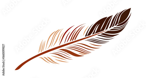 Colorful feather illustration against black background