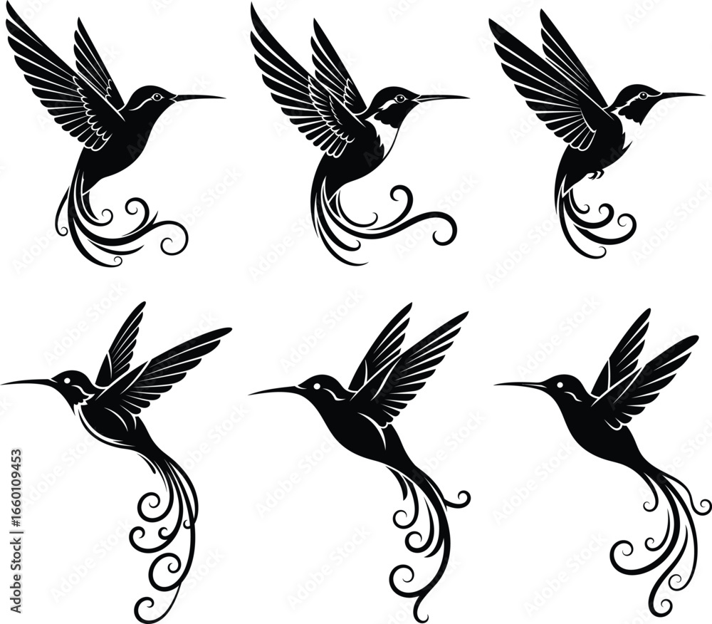 Obraz premium Elegant Hummingbird Silhouette Vector Design – Decorative Flying Bird Clipart Illustration