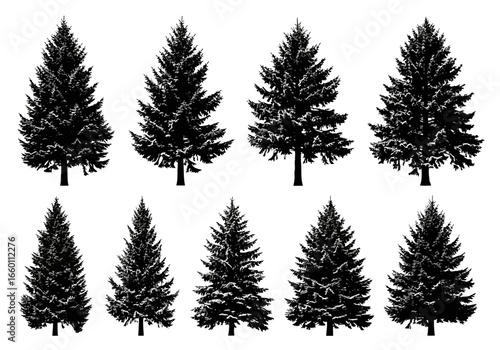 Vector art of collection of eight pine trees in silhouette, isolated on a, showcasing their evergreen nature and distinct conical shapes, perfect for winter or naturethemed designs