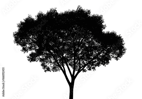 Vector art of a striking black silhouette of a deciduous tree with a full canopy of leaves, isolated on a clean, representing nature and growth