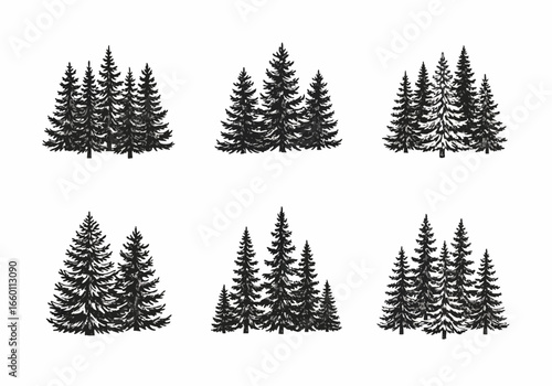 Vector art of a collection of six stylized black and white illustrations of pine trees, showcasing various arrangements and densities of evergreen conifers in a forest setting