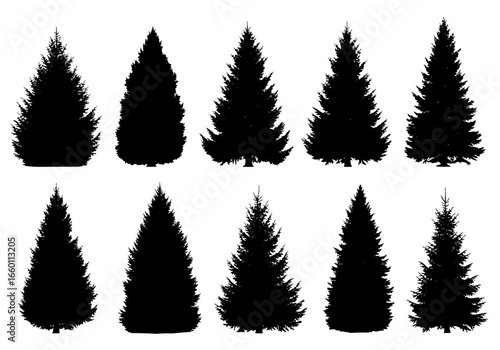 Vector art of set of various evergreen conifer tree silhouettes, including pine and fir, isolated on a, perfect for winter and holiday designs