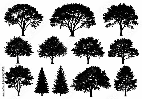 Vector art of a diverse collection of tree silhouettes, including deciduous and evergreen varieties, showcasing various shapes and sizes for natural design elements