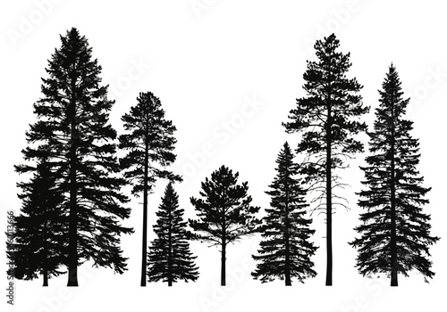 Vector art of collection of pine trees in silhouette