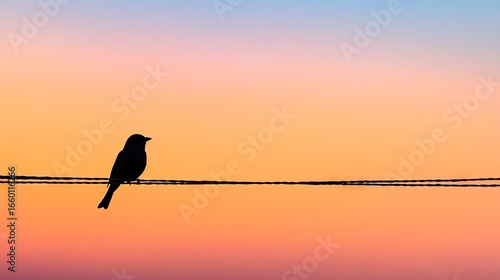 Small bird silhouette on wire against sunrise sky, showcasing peaceful morning scene and minimalist nature photography
