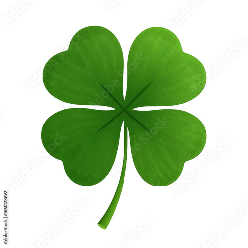 four leaf clover isolated