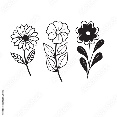 Three stylized black and white flowers on a white backdrop, emphasizing their unique designs and contrasting colors.