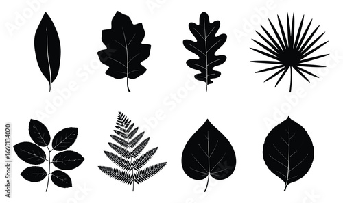 Vector art of diverse collection of leaf silhouettes a botanical set of various shapes and types for natural design elements and graphic illustrations