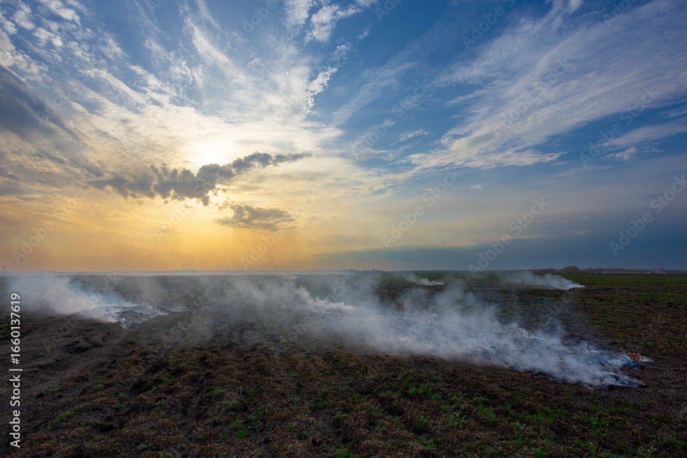 Fototapeta premium smoke over the field
