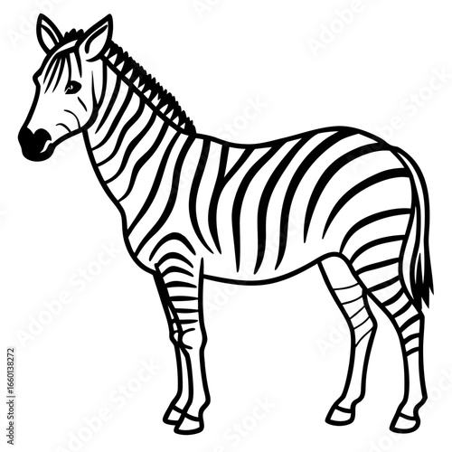 Stylized black and white zebra illustration