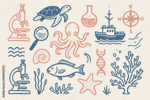 Marine Biology Doodles Illustration