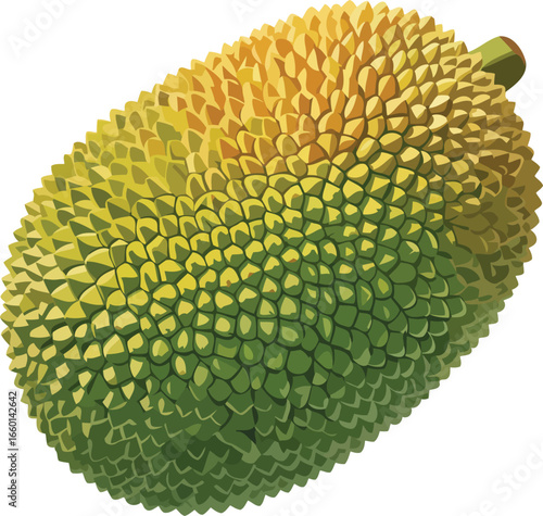 Vector Illustration of Jackfruit, Tropical Fruit, Transparent Background.