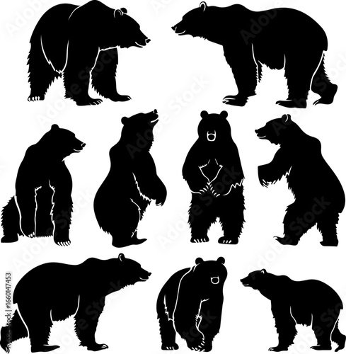 "Wild Bear Silhouettes Collection"