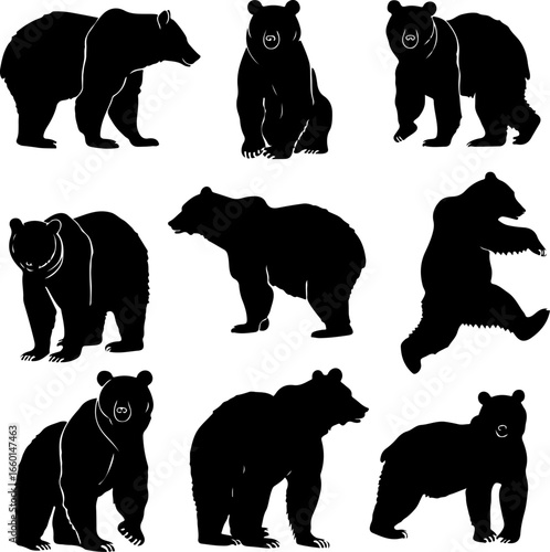 "Wild Bear Silhouettes Collection"