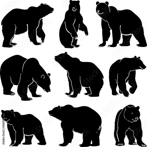 "Wild Bear Silhouettes Collection"