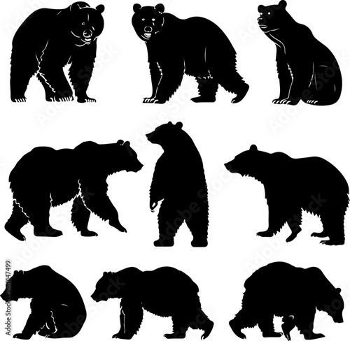 "Wild Bear Silhouettes Collection"