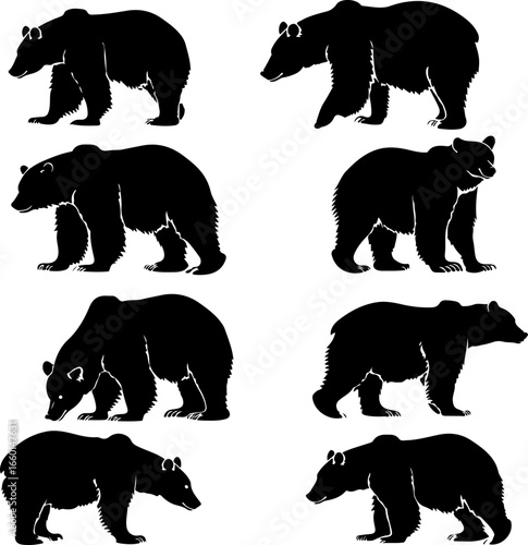 "Wild Bear Silhouettes Collection"