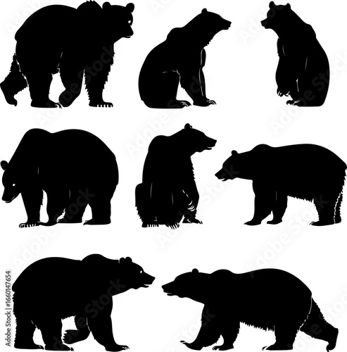"Wild Bear Silhouettes Collection"
