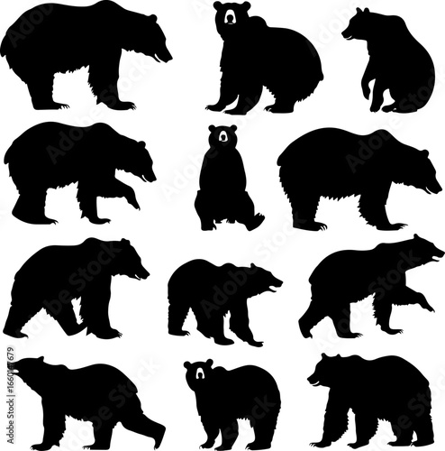 "Wild Bear Silhouettes Collection"