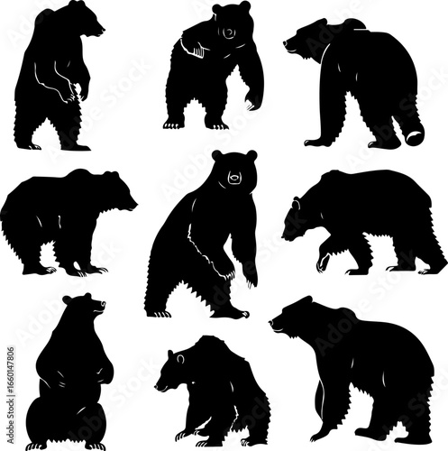 "Wild Bear Silhouettes Collection"