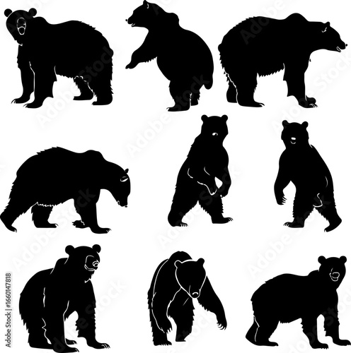 "Wild Bear Silhouettes Collection"