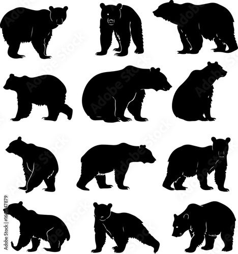 "Wild Bear Silhouettes Collection"