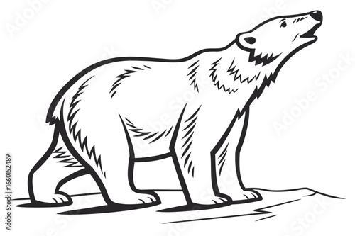  Polar Bear Howling - Black and White Line Art Illustration
