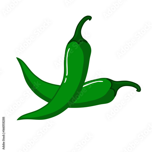 Fresh green chili pepper vector illustration