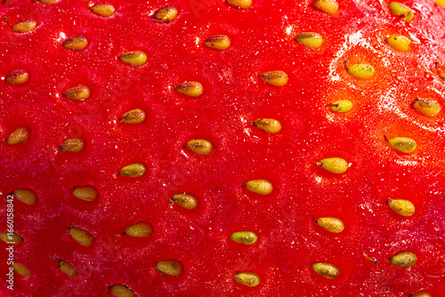 Wallpaper Mural macro strawberry texture background, strawberry surface and seed Torontodigital.ca