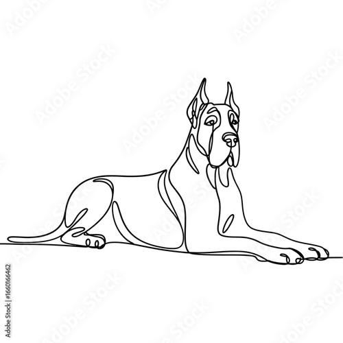 Elegant great dane dog lying down in a simple line drawing art style