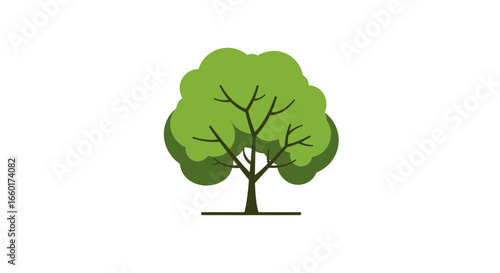 Illustration of a single tree with a green canopy and a brown trunk isolated