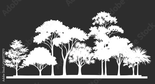 Elegant tree silhouette on dark background creates a minimalist nature aesthetic