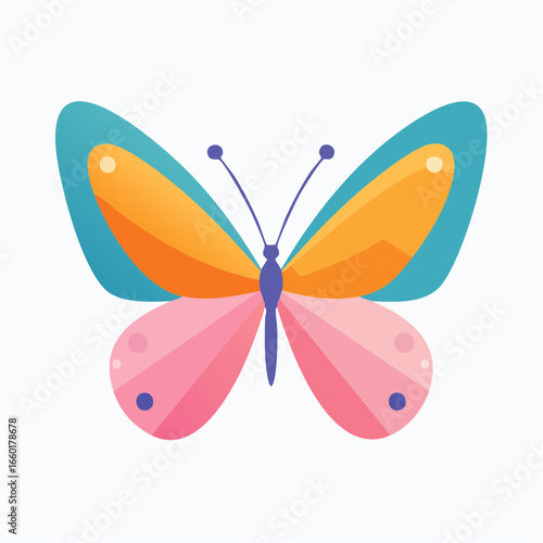 butterfly on white background