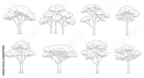 Collection of tree drawings, vector illustration of nature, isolated objects