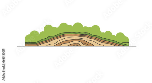 Detailed geological cross section with visible soil layers and vegetation cover