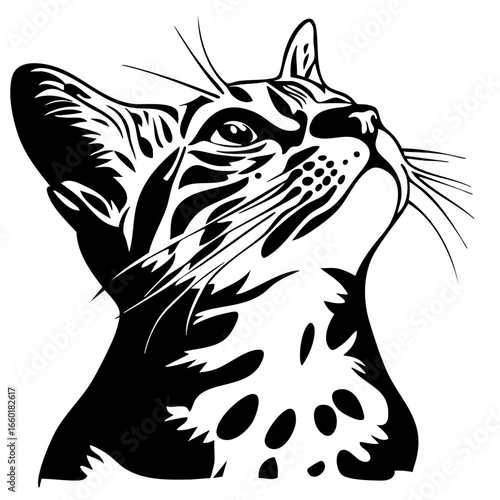 Detailed black vector illustration of a cat looking upwards with expressive features and distinctive markings