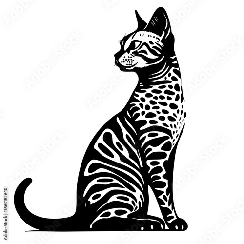Sitting elegant black cat silhouette with unique patterned coat showcasing feline grace and poise