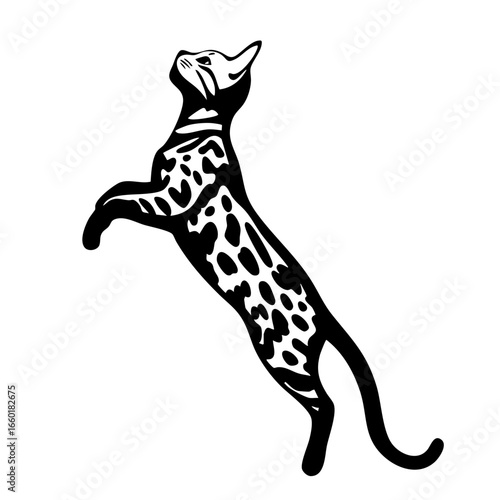 Cat with spots in a playful leap showcasing agility and grace in motion during an active moment of exploration