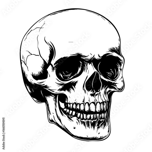 Detailed black vector skull illustration showcasing anatomical features and expressions typically associated with human skulls
