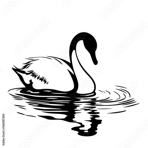 Elegant black swan gliding across serene water, creating ripples in its wake during a tranquil moment in nature