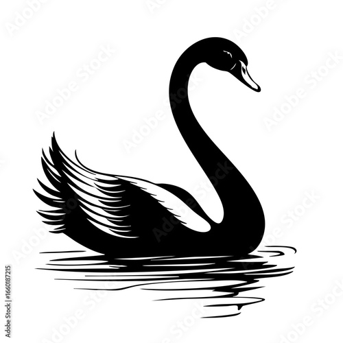 Elegant black swan gliding smoothly across the water during a tranquil afternoon