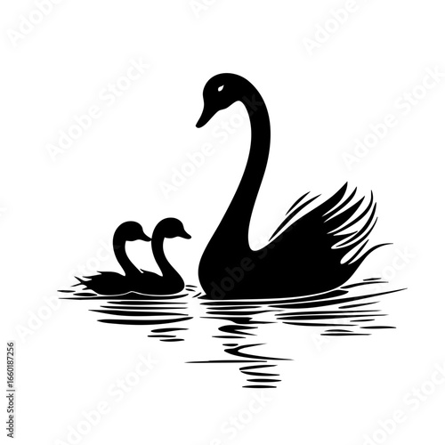 Elegant black swans gliding gracefully on water with their young in a serene environment at dawn